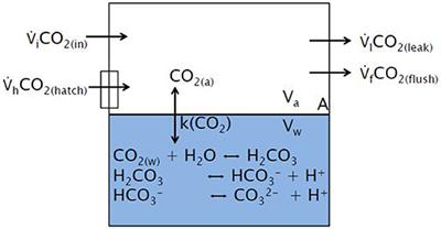 Air-Sea CO2-Exchange in a Large Annular Wind-Wave Tank and the Effects of Surfactants